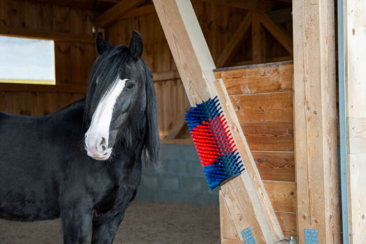 KERBL Kratzbürste XL